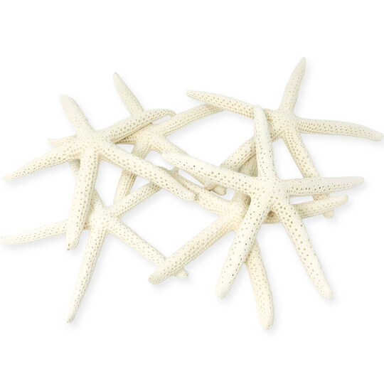 Nautical Crush Trading; Starfish Decor - Star Fish for Craft - 6pk Real 3-4" White Sea Stars - Beach Wedding Decor - Coastal Party Decorations - Seashell Decor; Category:Shells; Image:1